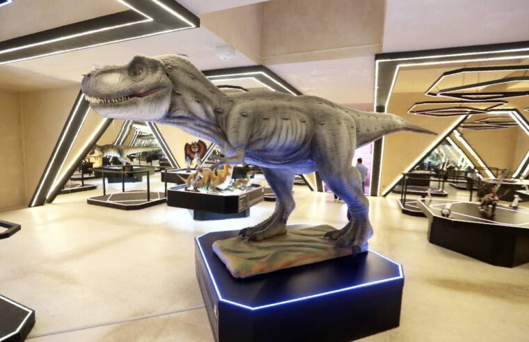 El Museo del Meteorito de Progreso abre  sus puertas este martes 9 de agosto