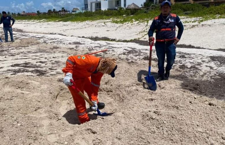 Continúan labores de limpieza en playas de Uaymitún y San Benito