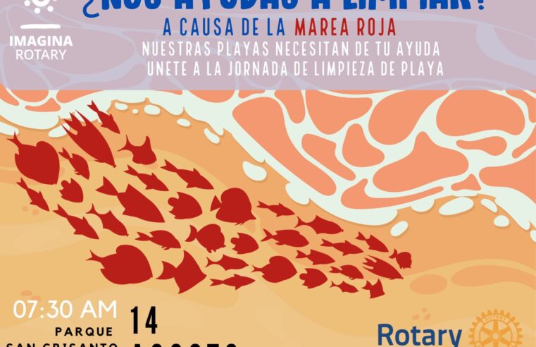 Nueva unión de esfuerzos para limpiar las playas de Yucatán por la marea roja