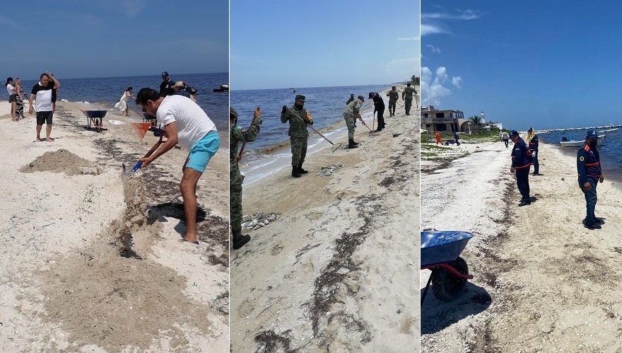 Unen fuerzas contra la marea roja en Yucatán