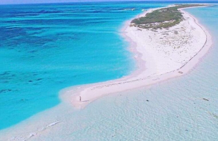 Reportan desplome de aeronave en la zona de Alacranes