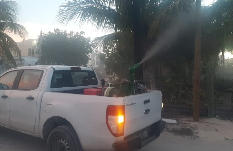 Al fin fumigarán en Mérida: declaran la guerra a los moscos agresivos