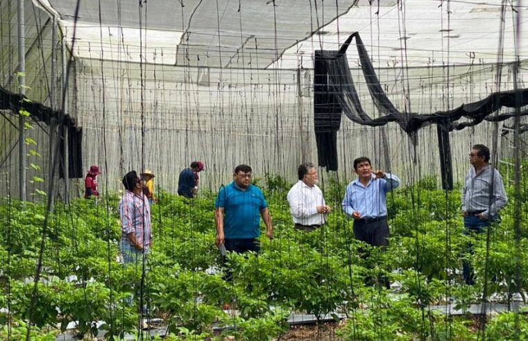 La 4T está dejando morir el campo, lamentan productores yucatecos
