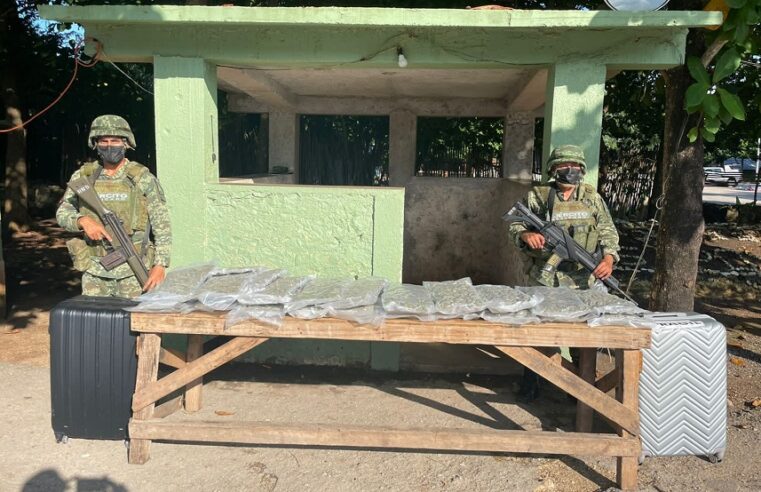Aseguran maletas con 24 paquetes de marihuana en un autobús