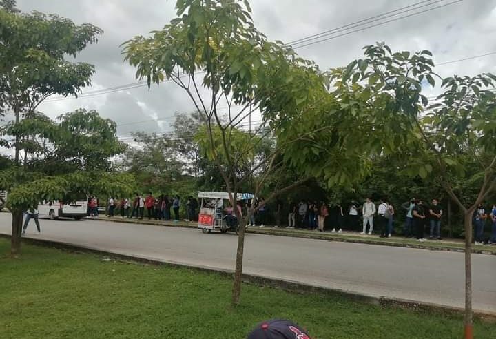 Cómo usar el transporte público y no morir en el intento, en Ciudad Caucel