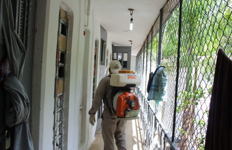 Continúa el segundo barrido de fumigación en Mérida