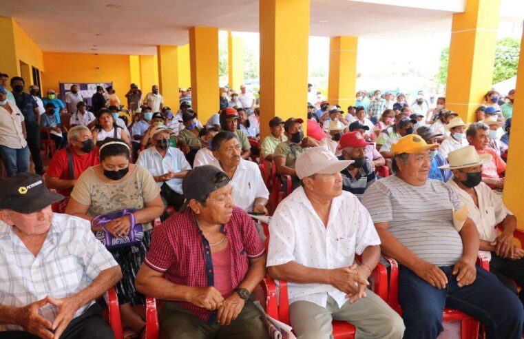 Gobierno de Yucatán respalda a 543 agricultores, como parte del impulso a la producción del henequén