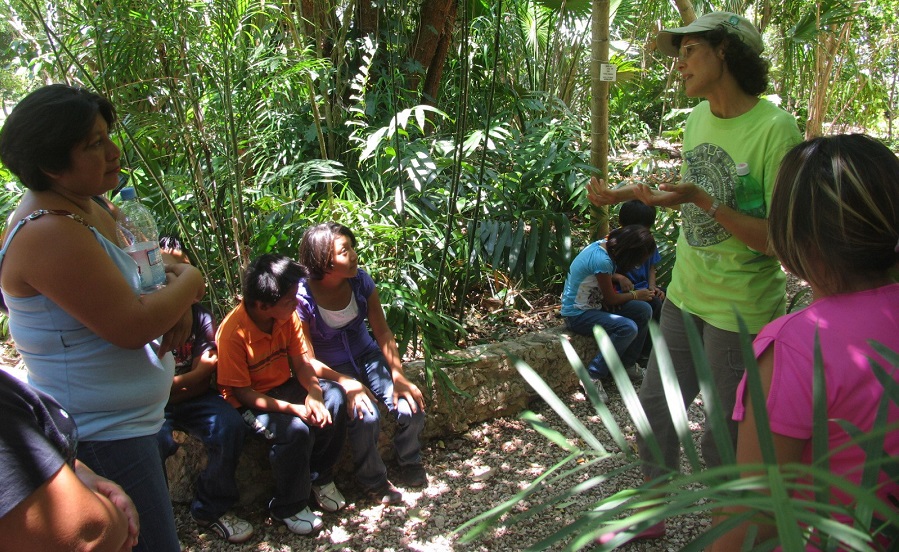 Los jardines botánicos, una esperanza para conservar la vida