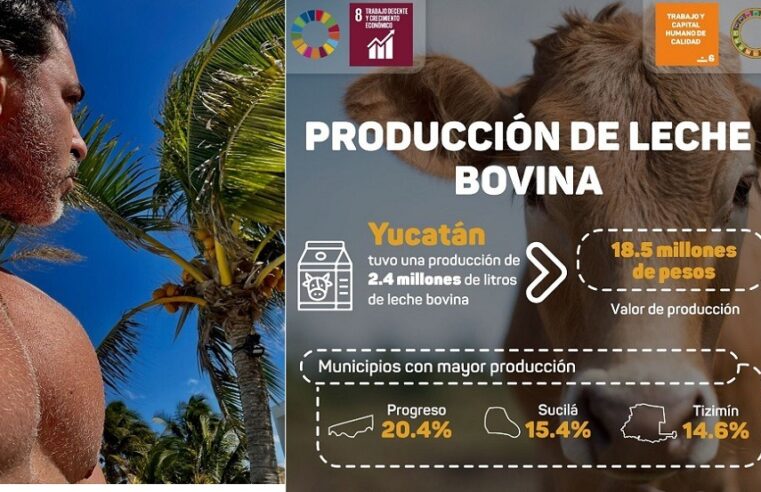 Progreso, el mayor productor de leche en Yucatán, incluso por encima de Tizimín