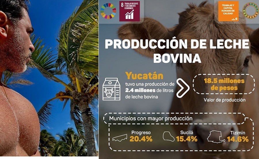 Progreso, el mayor productor de leche en Yucatán, incluso por encima de Tizimín
