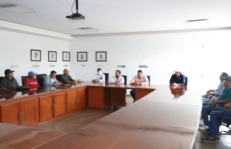 Suspenden las fumigaciones agrícolas aéreas en Yucatán