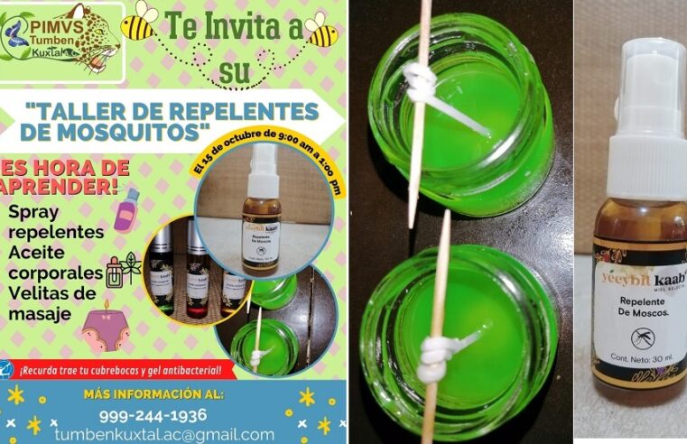 Jaque al dengue y al zika: enseñan a hacer repelentes naturales contra los mosquitos