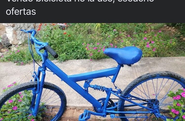 Ponen a la venta en Facebook la bici que le robaron: solo la pintaron de azul