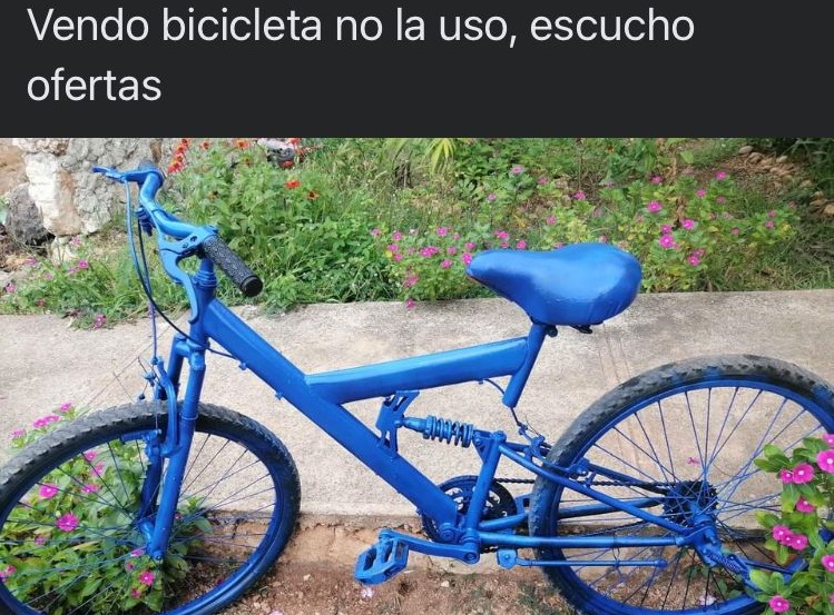 Ponen a la venta en Facebook la bici que le robaron: solo la pintaron de azul