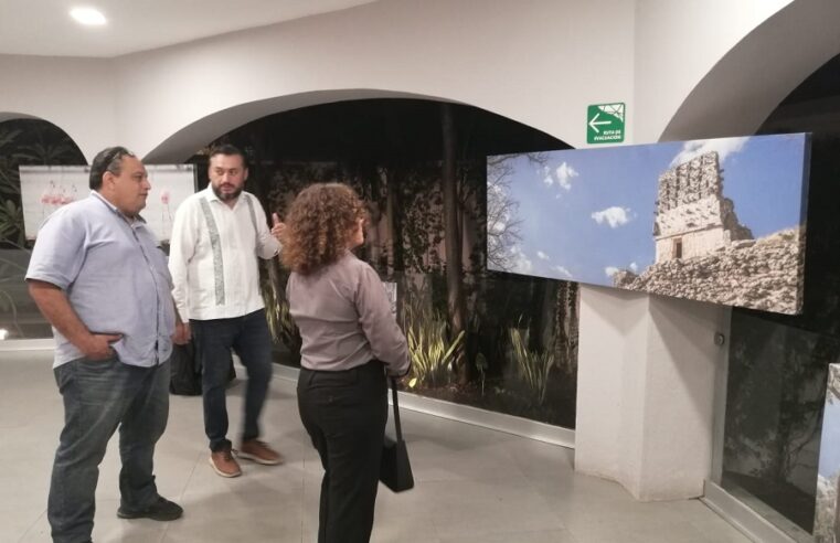 El artista visual Esdras Castillo captura los ornamentos de Yucatán