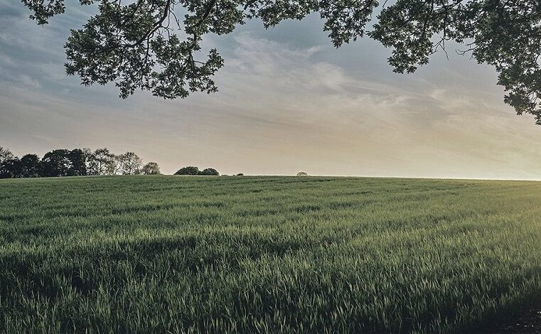 El Infonavit ya te da crédito para que construyas en un terreno ejidal