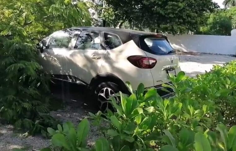 Cae un árbol en una funeraria y aplasta más de 10 autos estacionados