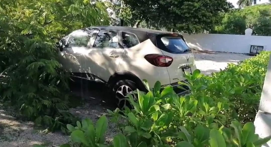 Cae un árbol en una funeraria y aplasta más de 10 autos estacionados