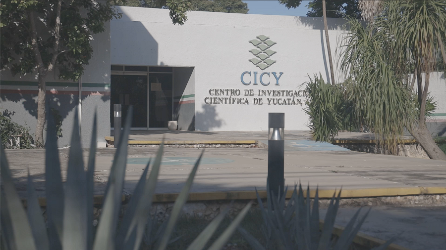 El CICY cumple 43 años de contribuir a la ciencia en Yucatán