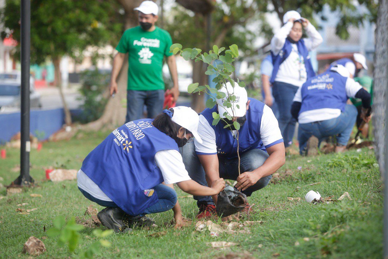 El programa “Cruzada Forestal” del Ayuntamiento de Mérida es reconocido a nivel nacional