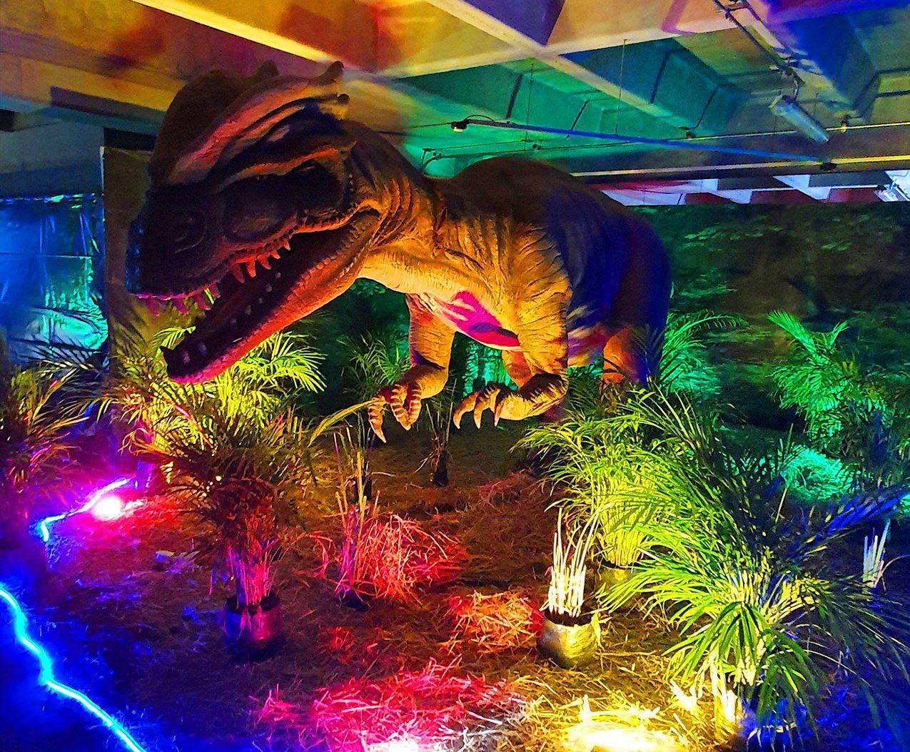 Expo Dinosaurios llega a Tizimín, Valladolid y Mérida