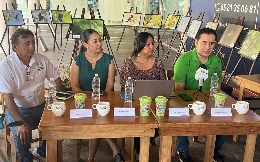 El café abraza a las aves en proyectos  a favor de loros y colibríes en Yucatán