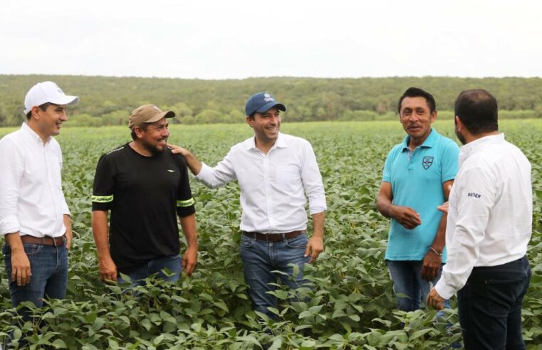 Con apoyos de vivienda, agrícolas y pecuarios, el cambio se ve y se siente en Yucatán