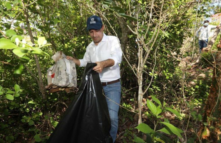 Yucatán, un estado cada vez más verde y sustentable.