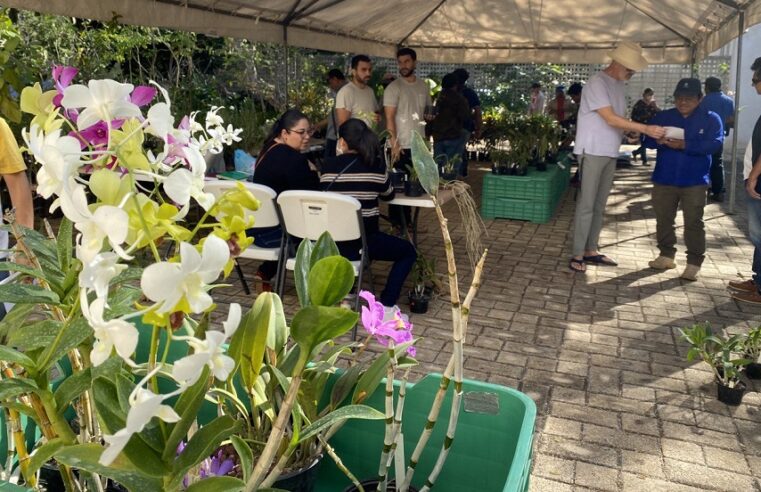 Peculiar  venta de orquídeas, del CICY en  el Día del Amor y la Amistad