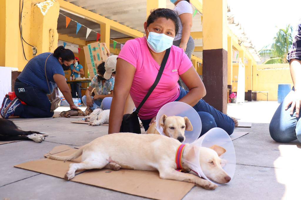 El Ayuntamiento continúa con las jornadas de esterilización animal a bajo costo