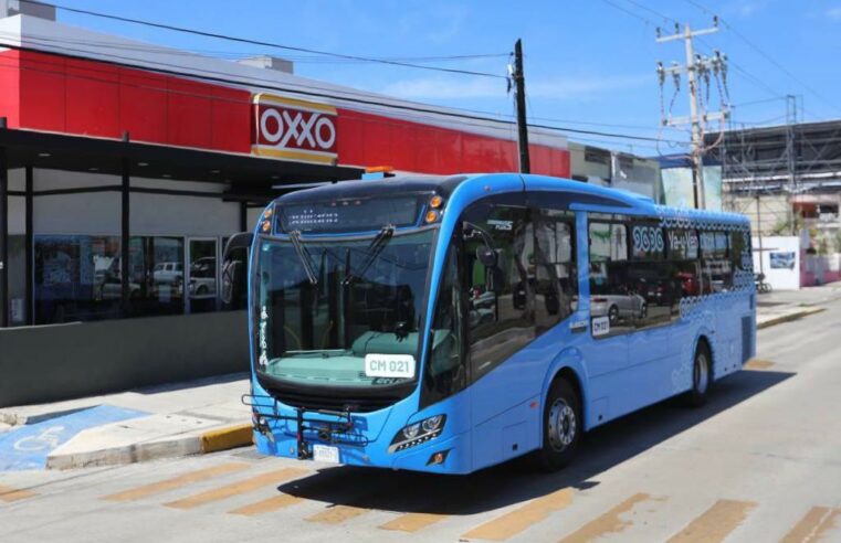 Circuito Metropolitano “Va y ven” será gratuito una semana más