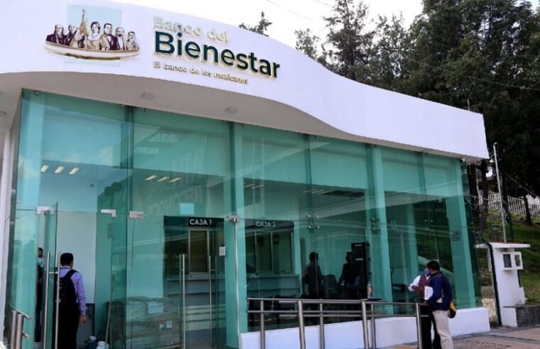 Banco del Bienestar vacía las pensiones de adultos mayores