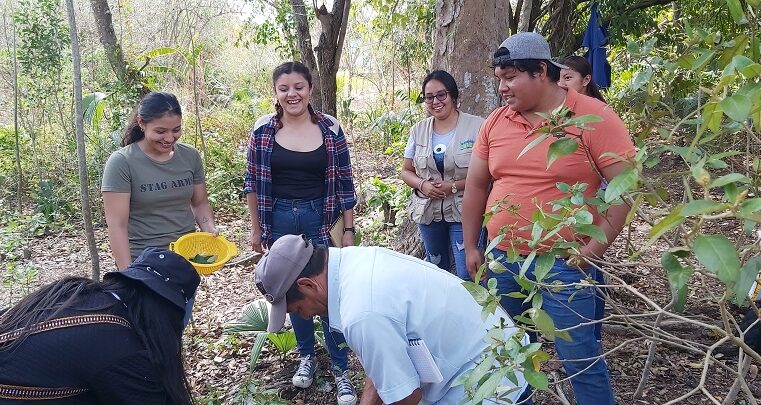 Productores de Bokobá y Tekantó aprenden a elaborar un jabón con propiedades medicinales