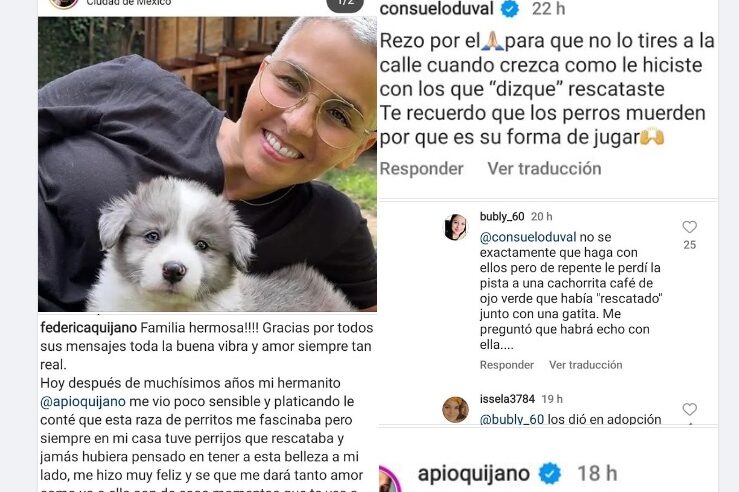 Consuelo Duval exhibe a Federica Quijano: la acusa de abandonar los perros que rescata