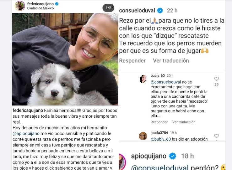 Consuelo Duval exhibe a Federica Quijano: la acusa de abandonar los perros que rescata