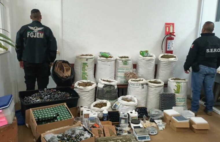 Ubican laboratorio de Pelón Pelo Rico pirata y con marihuana