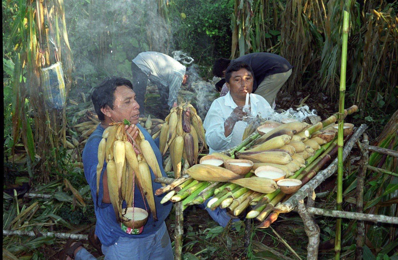 En Italia reconocen al ICH KOOL Milpa Maya como Patrimonio Agrícola de Importancia Mundial