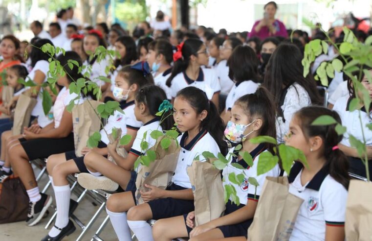 Estudiantes de Yucatán sembrarán 300 mil árboles con la estrategia ‘Un niño, un árbol’