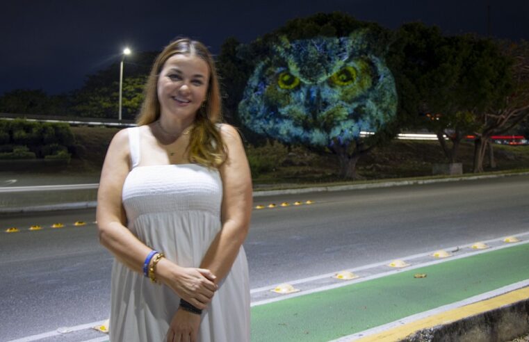 Con un videomapping, Cecilia Patrón se suma a la cruzada por el medio ambiente en Mérida