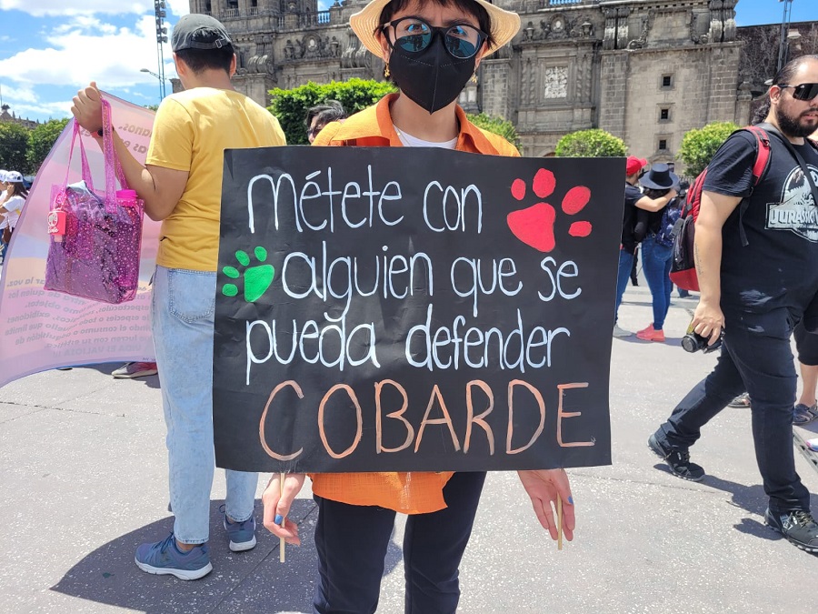 Marchan en CDMX contra el maltrato a los animales