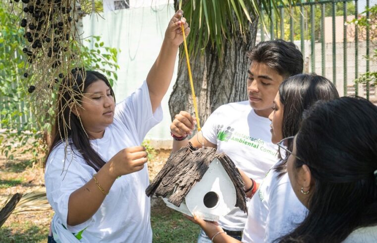 Convierten canteras de Yucatán en espacios para salvaguardar la biodiversidad