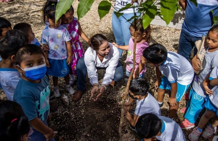 Gobierno de Yucatán distribuye 75,000 plantas en escuelas, con “Un niño, un árbol”