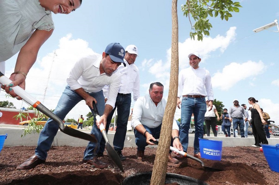 Mauricio Vila inicia la arborización como parte del proyecto del Ie-Tram