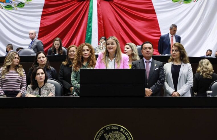 Cecilia Patrón presenta tres iniciativas sobre seguridad en la orfandad y crianza positiva