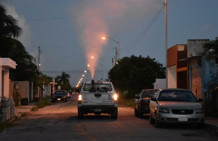 Intensifican la fumigación para prevenir dengue y otras enfermedades