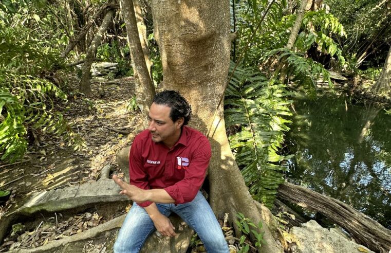 El manglar está en riesgo por el desorden territorial urbano: Raúl Paz