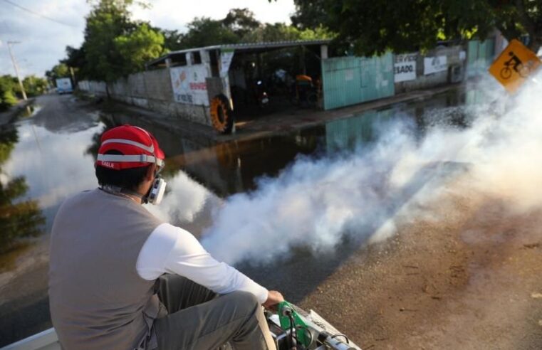 Más acciones preventivas contra el dengue en Yucatán