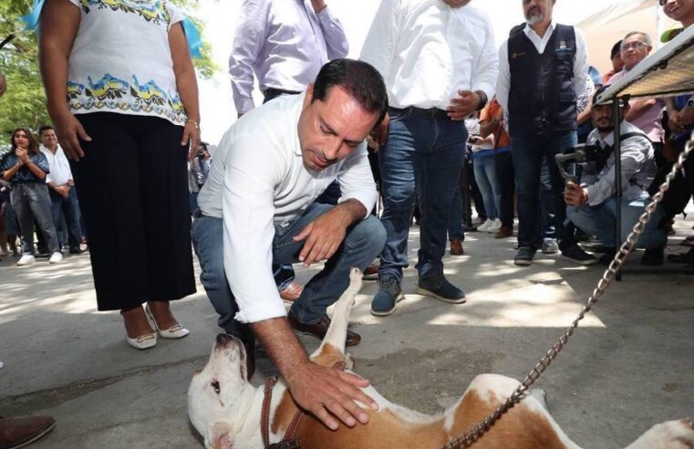 Mauricio Vila presenta el proyecto Peek’ Friendly: perros con formato de identidad animal