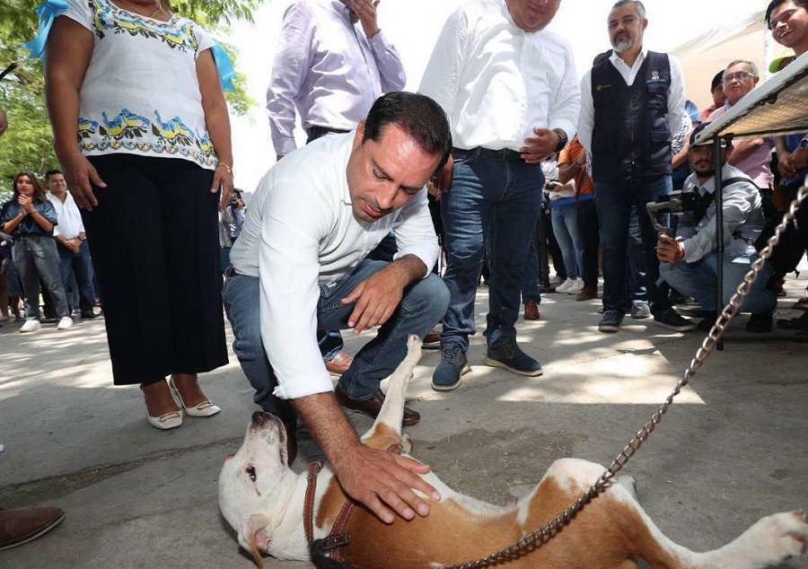 Mauricio Vila presenta el proyecto Peek’ Friendly: perros con formato de identidad animal