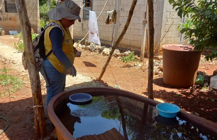 La SSY realiza acciones de prevención contra el dengue en Yucatán